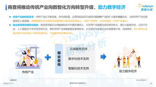 透视用户需求深挖服务潜力 2022中国商业查询行业洞察