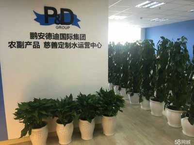 山东鹏安德迪商务咨询