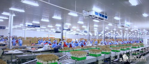 让职工做企业的主人,河北光明九道菇畅通厂务公开渠道