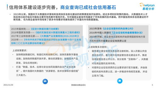 中国商业查询市场分析2021
