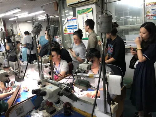 记高级宝玉石鉴定与商贸课程