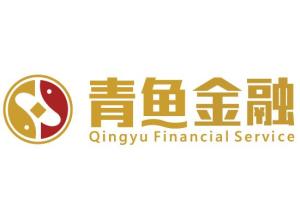 西安青鱼商务信息咨询