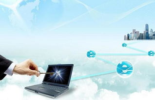 共商滨海新区跨境电商发展大计