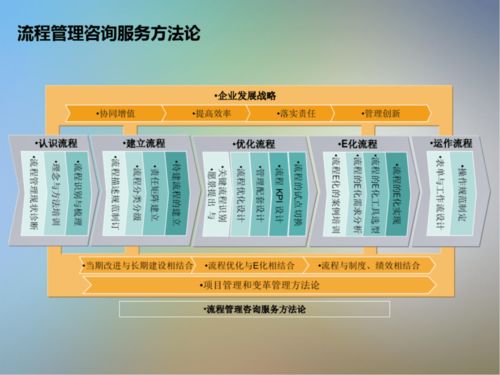 IT信息系统项目咨询方法论在商务信息咨询中的应用与实践