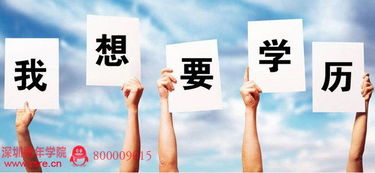 深圳，无文凭者的困境与商务信息咨询的机遇