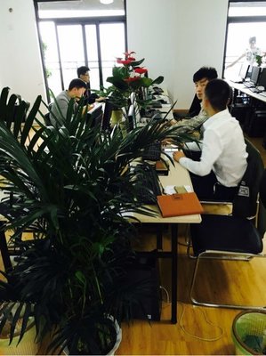 武汉金诚汇誉商务信息咨询 专业服务助力企业发展