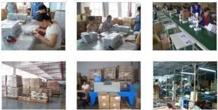 无忧进出口代理与海关指定服务 打造高效商务服务链